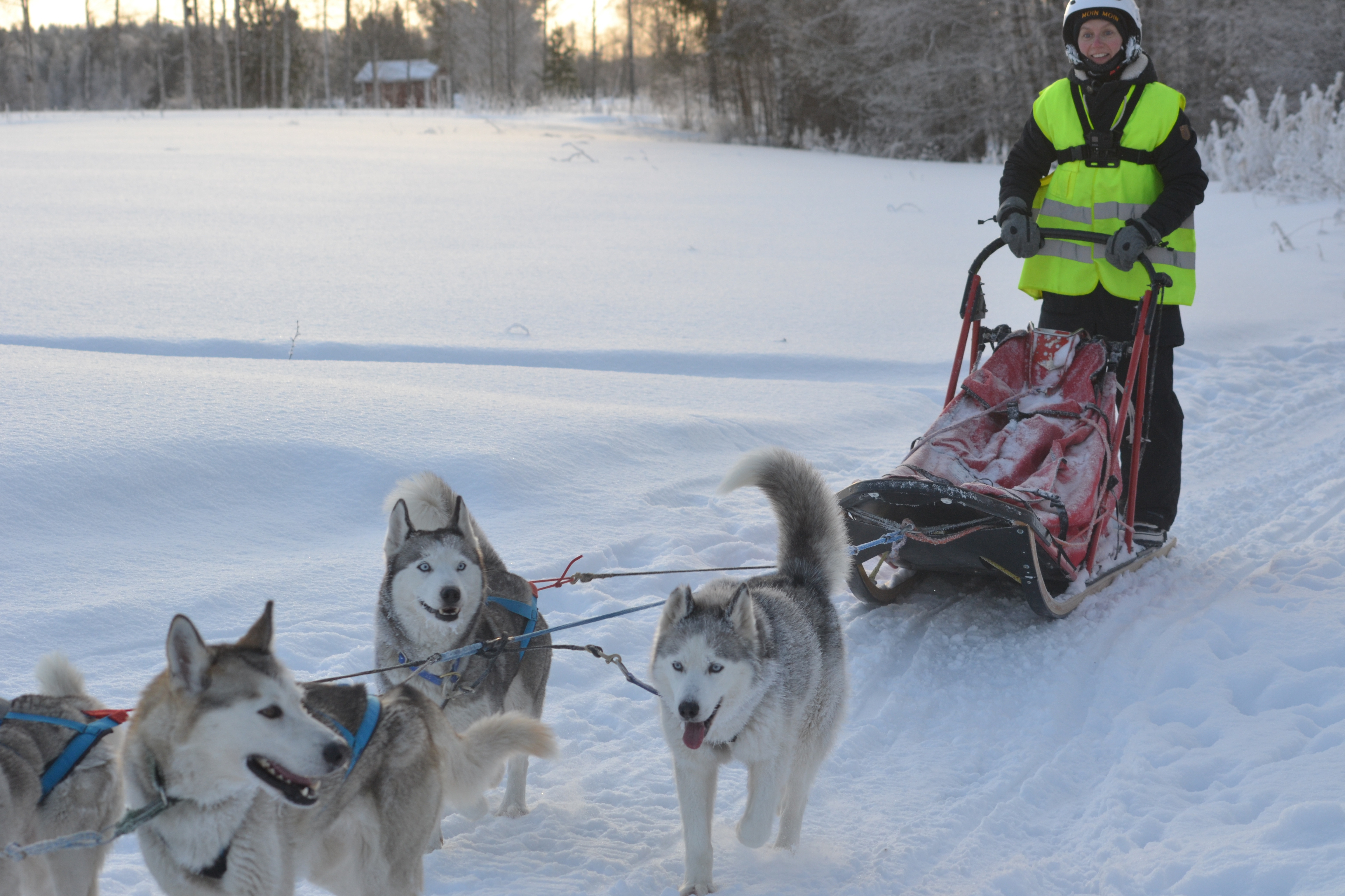 Schwedisch Lappland Winter 2022 erste Tourwoche 1