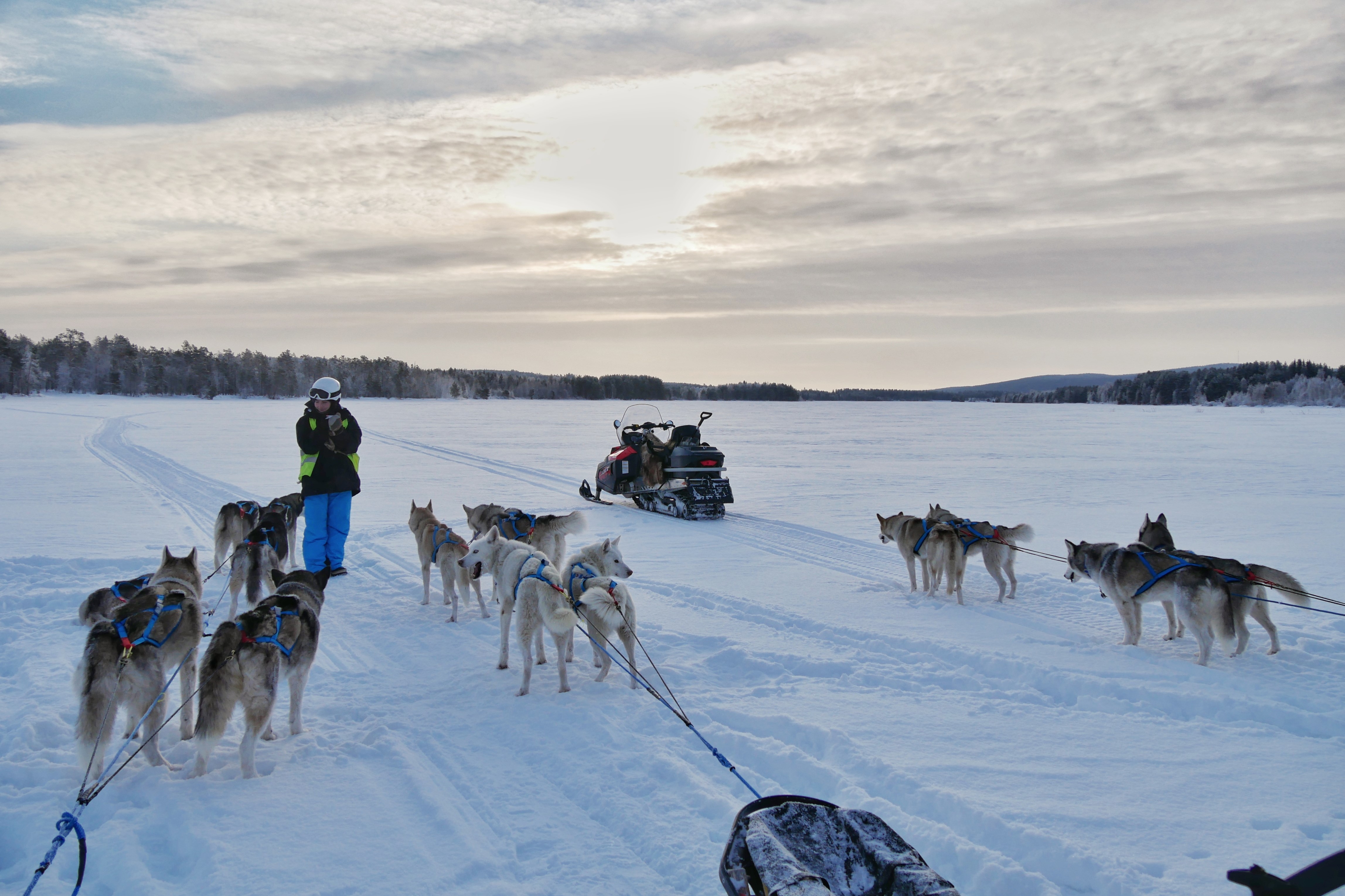 Schwedisch Lappland Winter 2022 erste Tourwoche 11