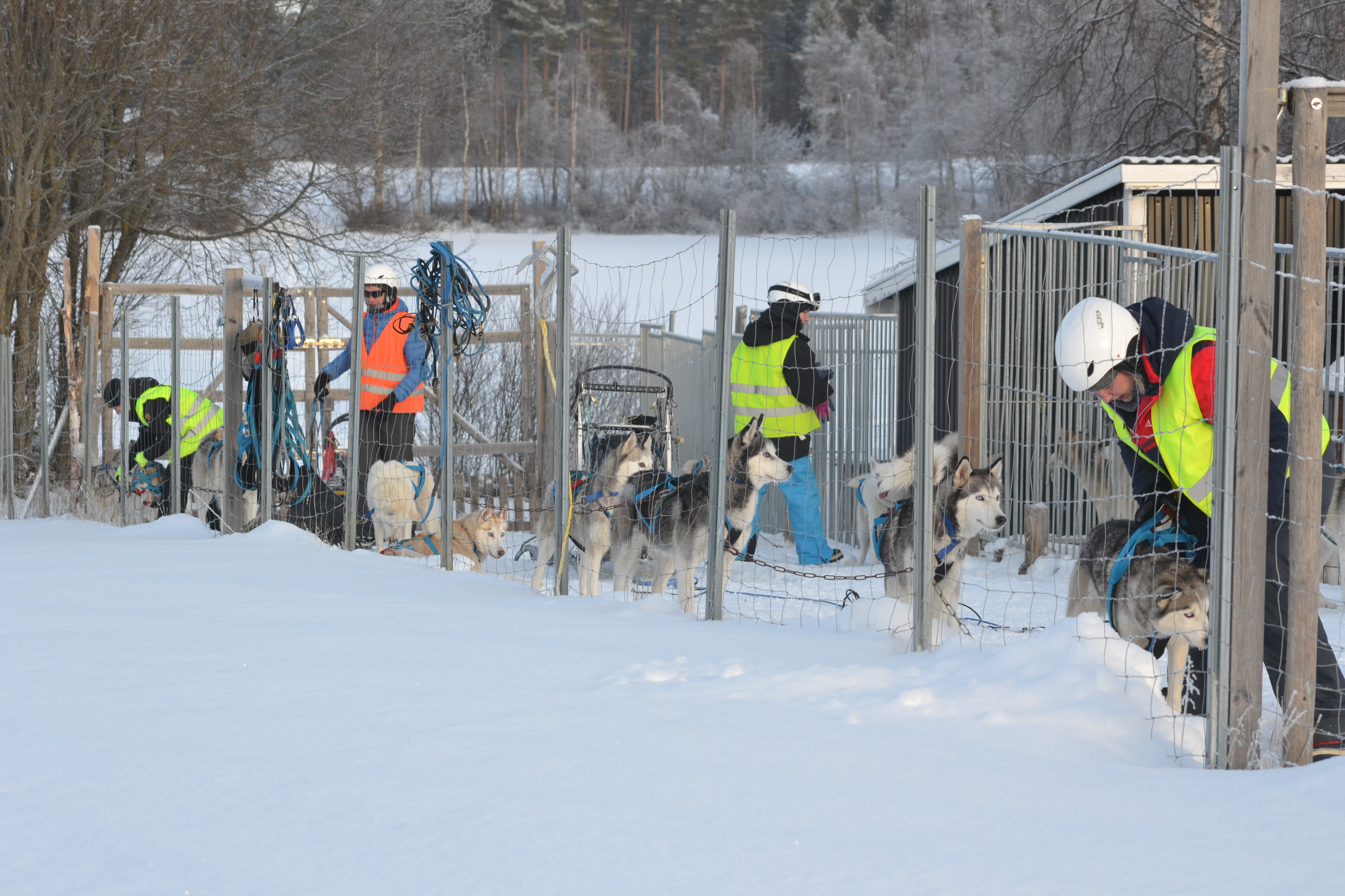 Schwedisch Lappland Winter 2022 erste Tourwoche 2