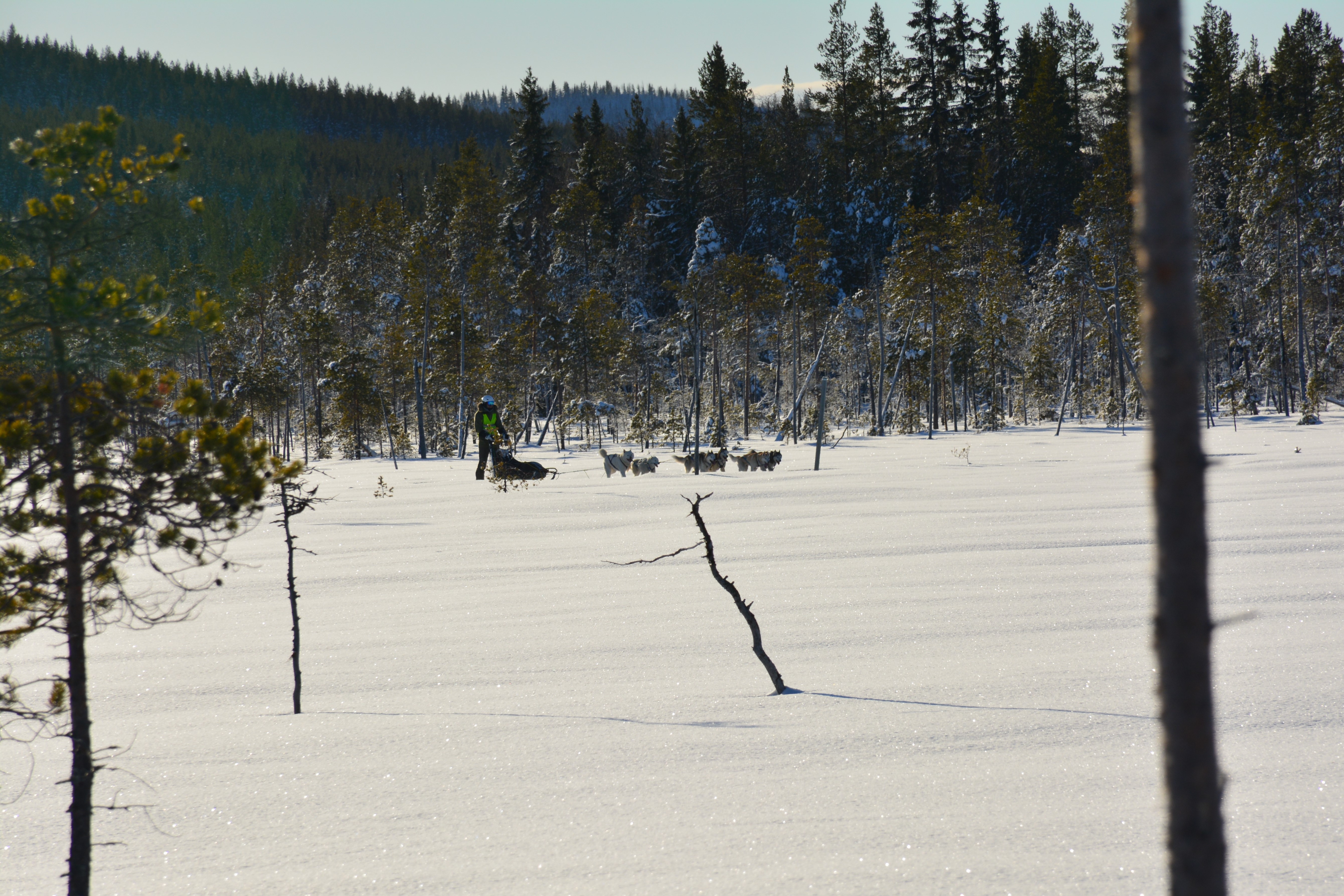 Schwedisch Lappland Winter 2022 zweite Tourwoche 11