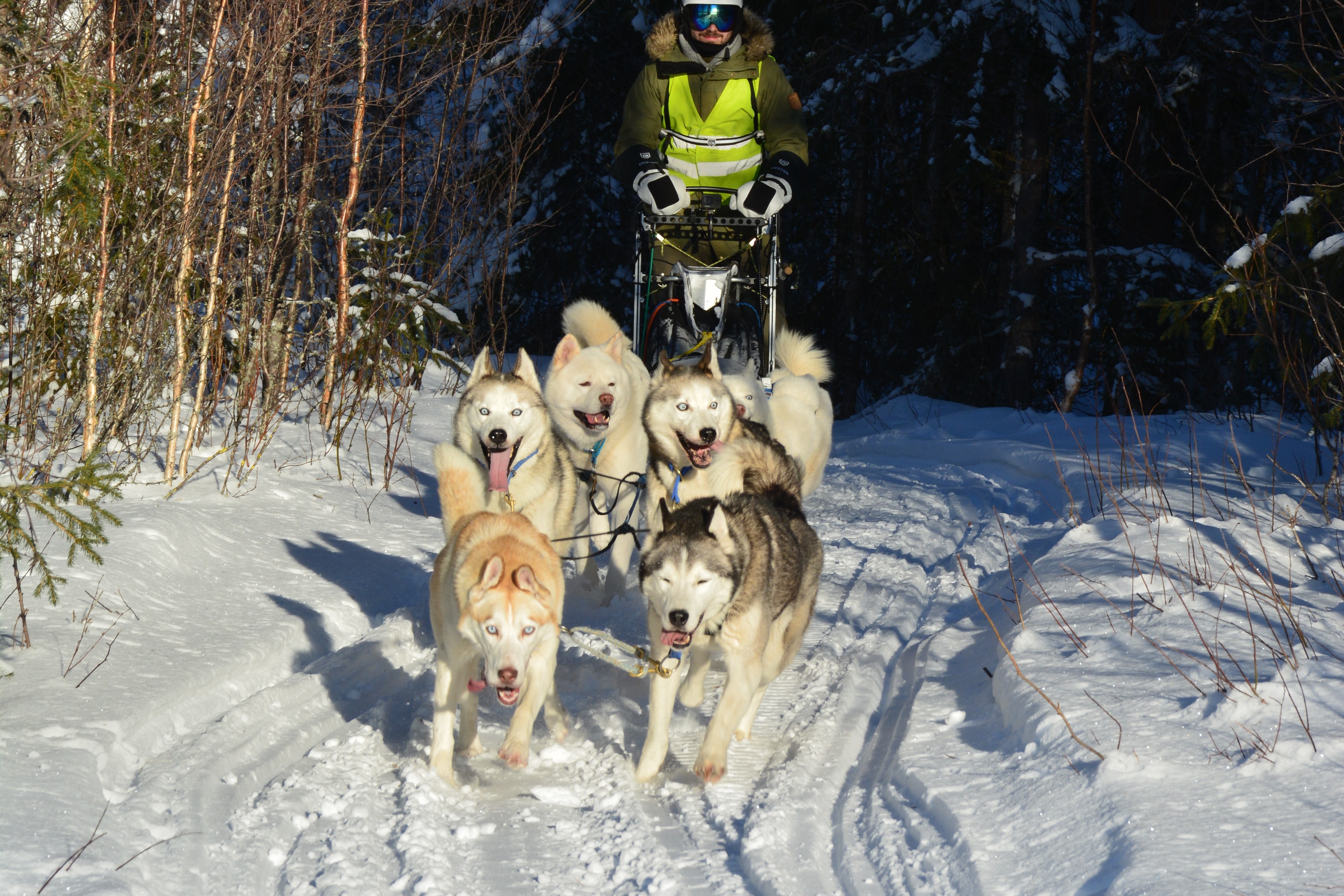 Schwedisch Lappland Winter 2022 zweite Tourwoche 7
