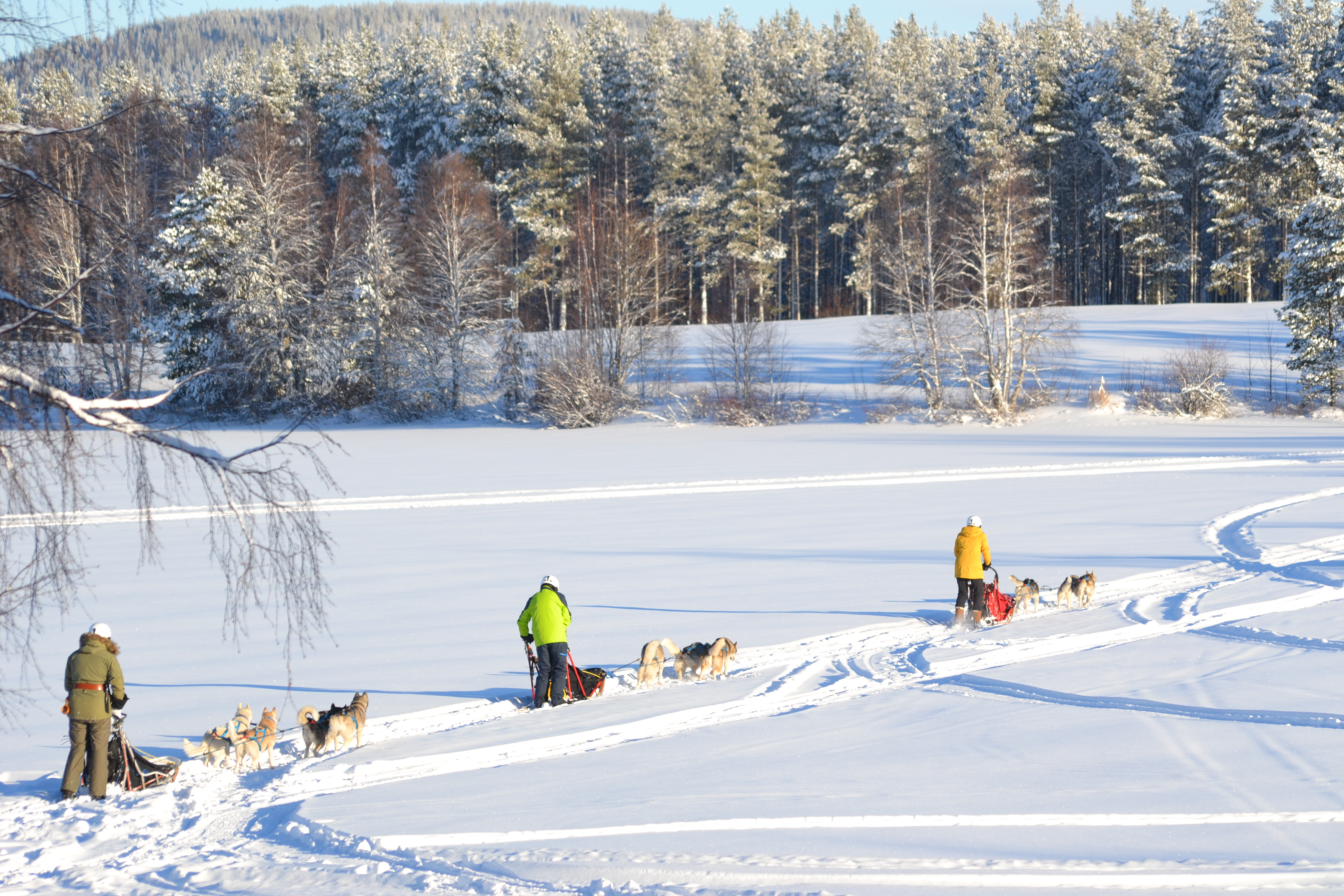 Schwedisch Lappland Winter 2022 zweite Tourwoche 8